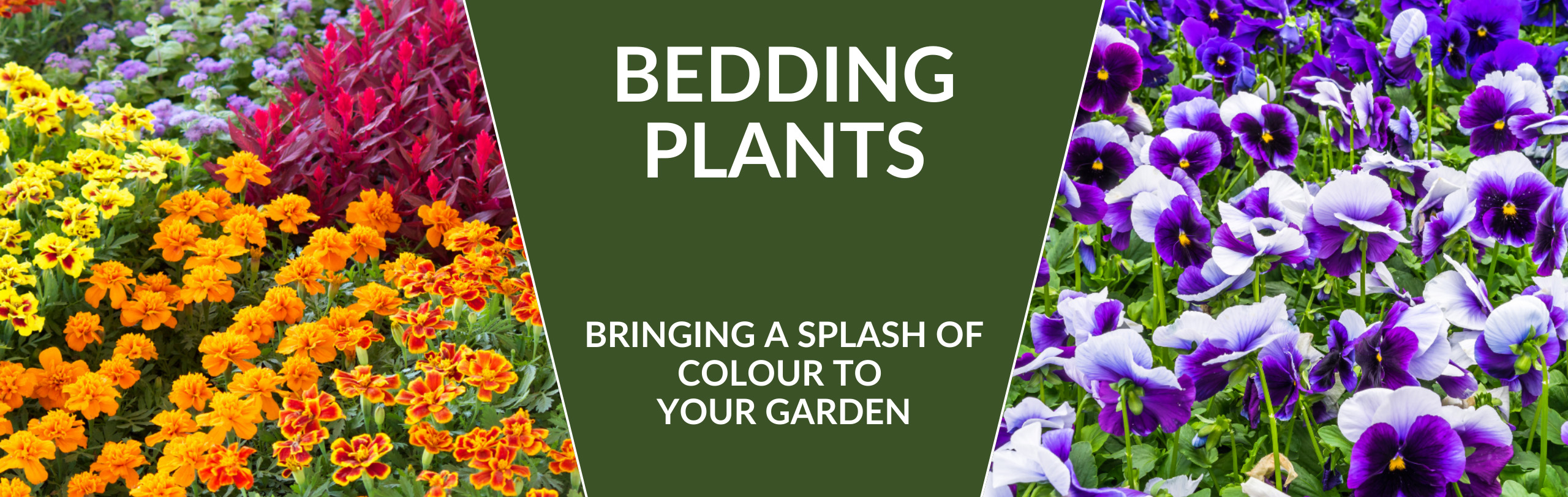 Plant Supply Store 1 Plant Supply Store -Plant Supply Store 1