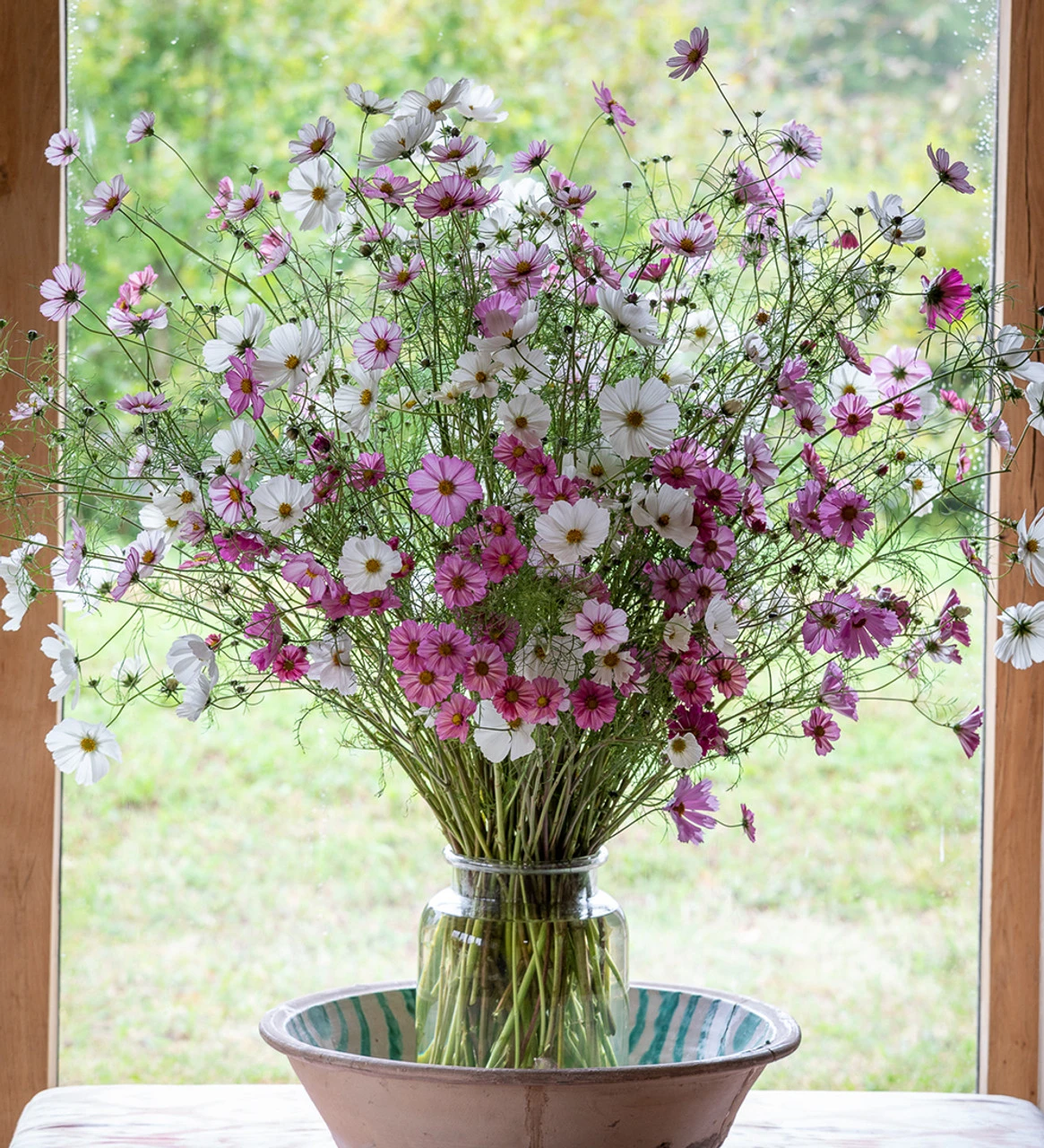 Cloud Of Cosmos Collection/Mix 1 Cloud Of Cosmos Collection/Mix