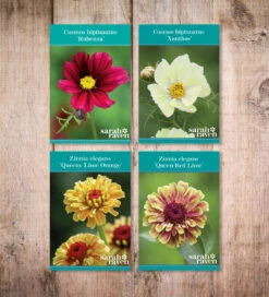 Bestseller Cosmos And Zinnia Collection -Plant Supply Store 140074BCZ 6 71095.1620126003