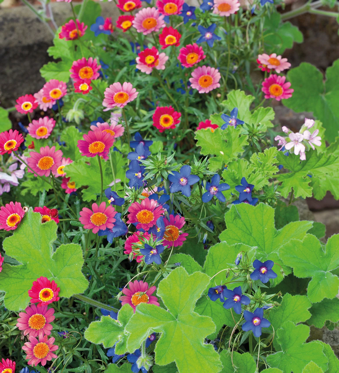 Blue, Pink And Silver Pot Collection 2 Blue, Pink And Silver Pot Collection - Image 2