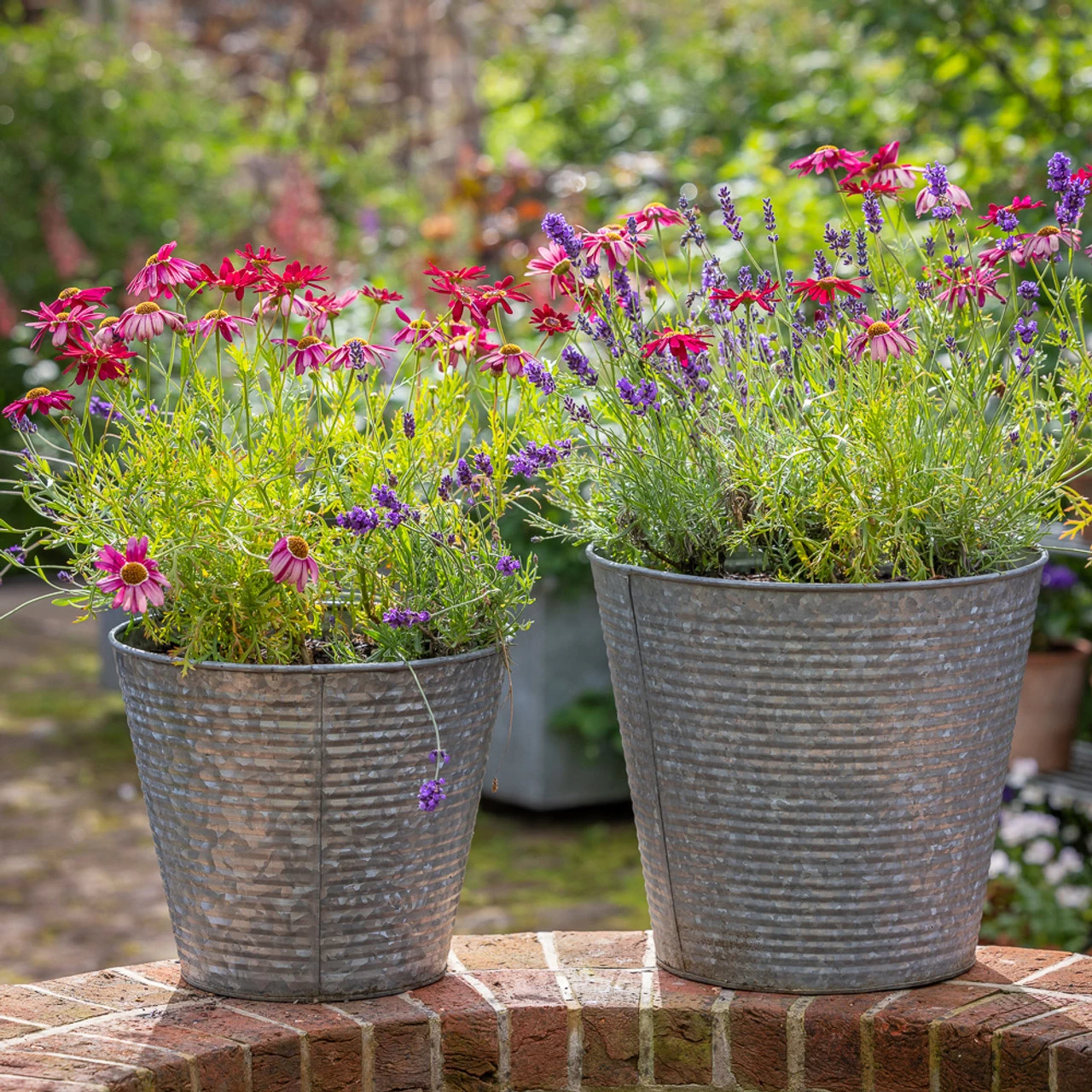 Blue, Pink And Silver Pot Collection 1 Blue, Pink And Silver Pot Collection