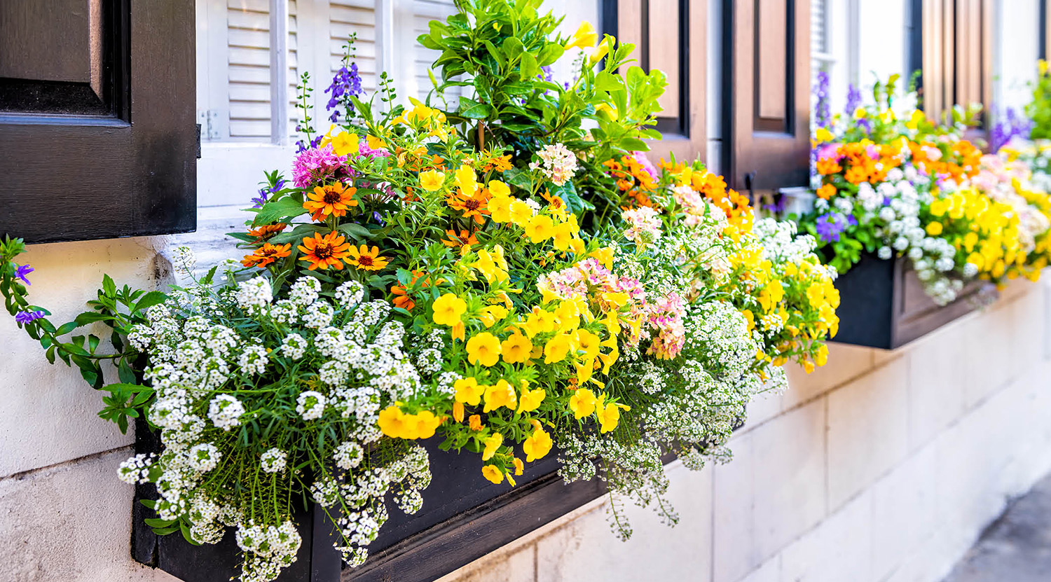 Plant Supply Store 7 Plant Supply Store -Plant Supply Store 2