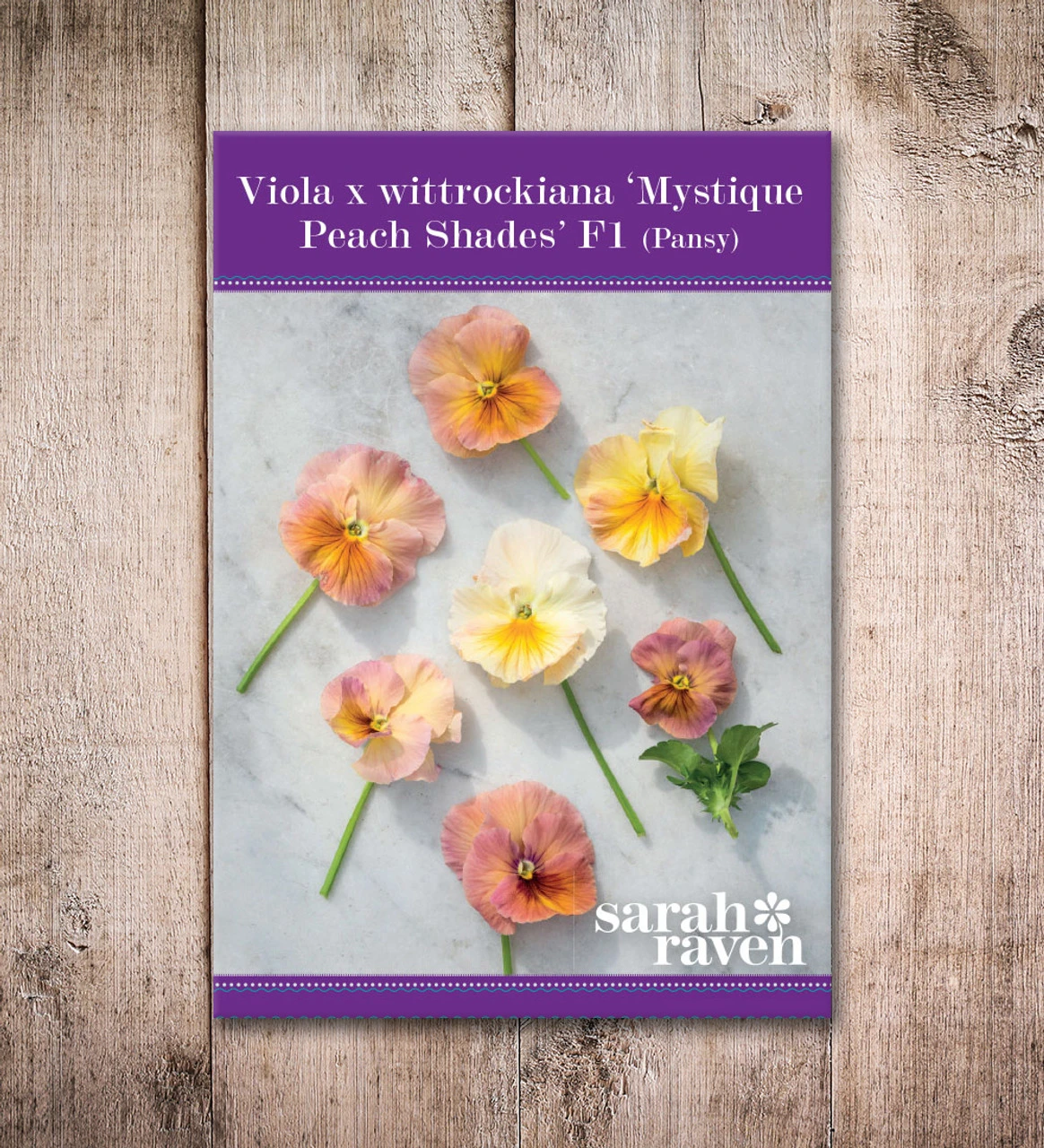 Viola X Wittrockiana 'Peach Shades' F1 4 Viola X Wittrockiana 'Peach Shades' F1 - Image 4