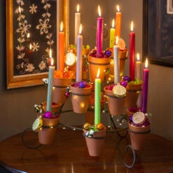 Auricula Stand -Plant Supply Store 271018 12 25352.1681742422