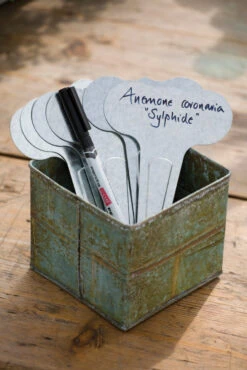 Zinc Plant Markers And Pen