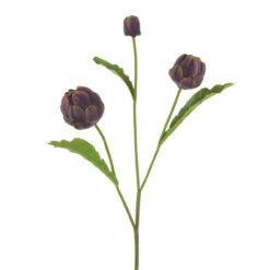 Plant Supply Store 17 Plant Supply Store -Plant Supply Store 350546 2 62874.1686055171