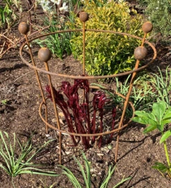 Peony Plant Support