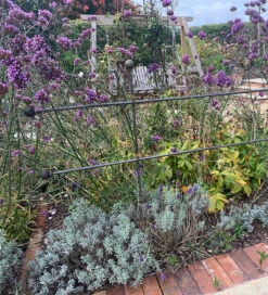 Step-over Plant Support