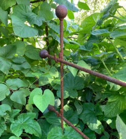 Step-over Plant Support -Plant Supply Store 410117 3 45212.1616163668