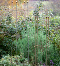 Castle Plant Support