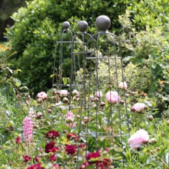 Queen Garden Obelisk 5 Queen Garden Obelisk -Plant Supply Store 410147 2 44521.1645018680