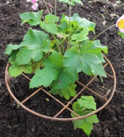 Round Grow Frame -Plant Supply Store 410150 3 00200.1617711031