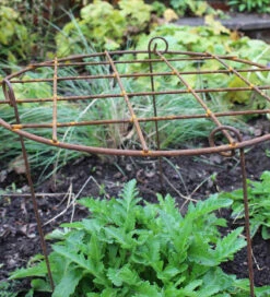 Round Grow Frame -Plant Supply Store 410150 5 04944.1617711032