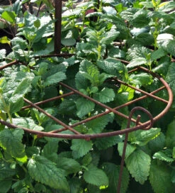 Round Grow Frame -Plant Supply Store 410150 6 88165.1617711033