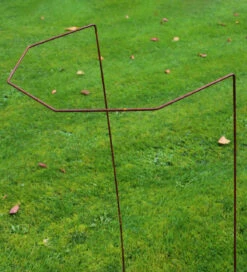 Rustic Herbaceous Supports -Plant Supply Store 410151 5 79586.1617711036