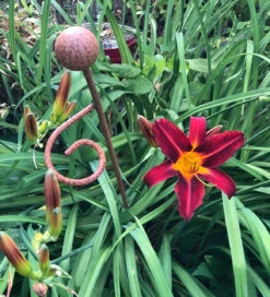 Decorative Plant Stakes -Plant Supply Store 410152 3 71379.1617711038