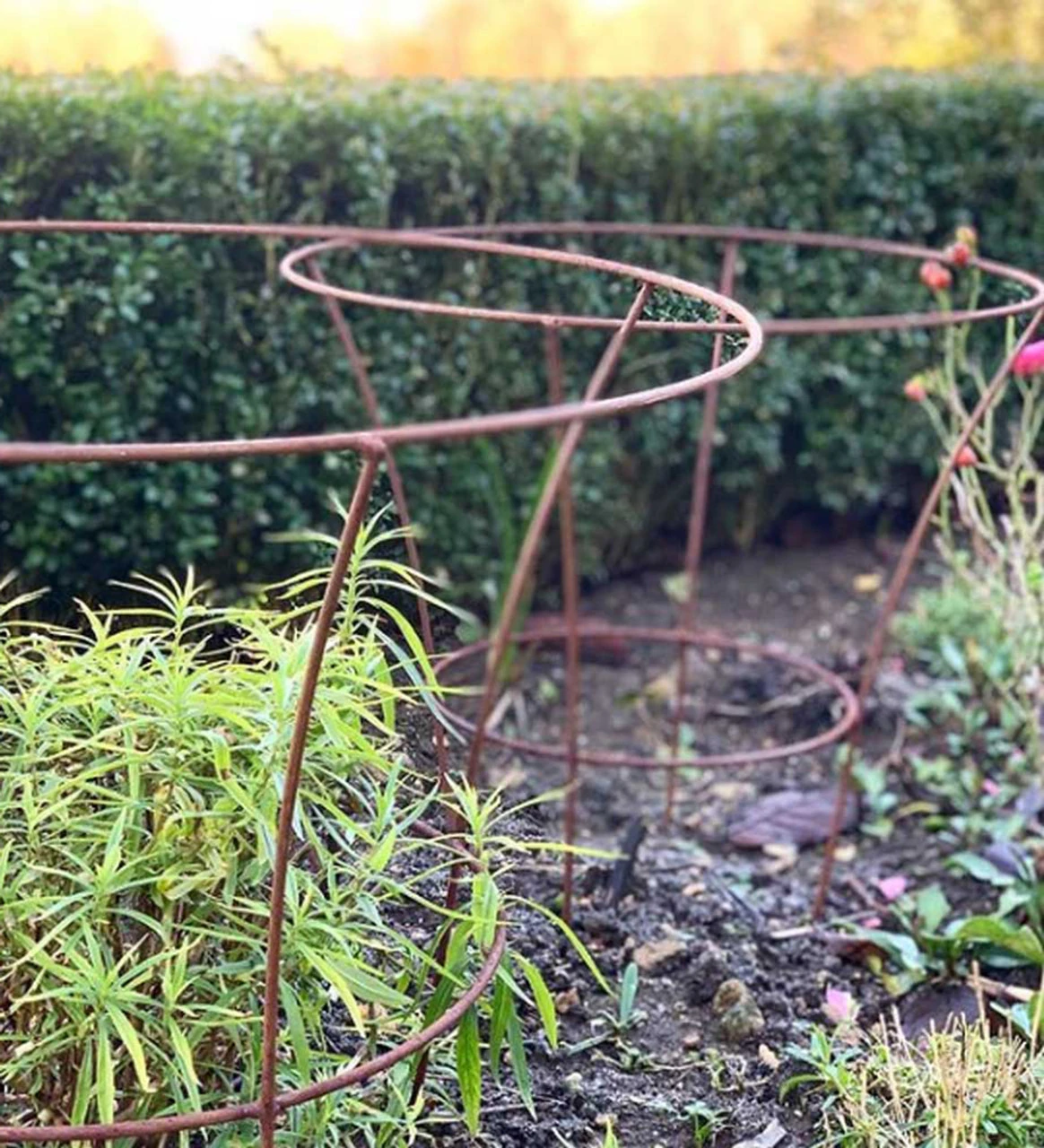 Fluted Peony Support 3 Fluted Peony Support - Image 3