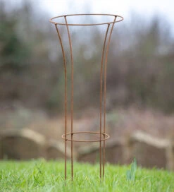 Tall Flute Support -Plant Supply Store 410156 1 62964.1662542462