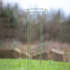 Tall Flute Support -Plant Supply Store 410156 3 58437.1656490895