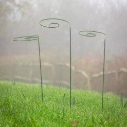 Spiral Plant Stakes -Plant Supply Store 410158 3 36077.1645018769