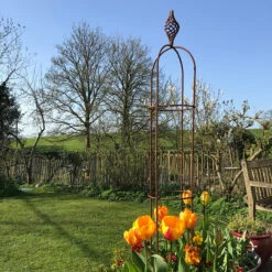 Decorative Obelisk -Plant Supply Store 410162 80681.1655107026