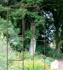 Fine Arch -Plant Supply Store 410166FA 1 59685.1662542408