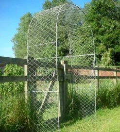 Round Arch -Plant Supply Store 410167RA 3 33527.1617711062