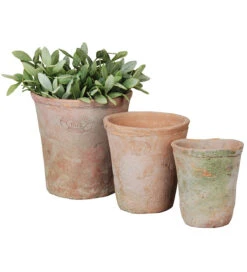 Aged Terracotta Pots -Plant Supply Store 420114 3 16353.1662542378
