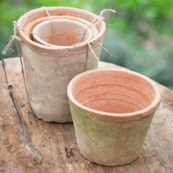 Aged Terracotta Pots -Plant Supply Store 420114 XX 59380.1662542378