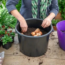 Pots For Successional Planting -Plant Supply Store 420169 4 29599.1649944677