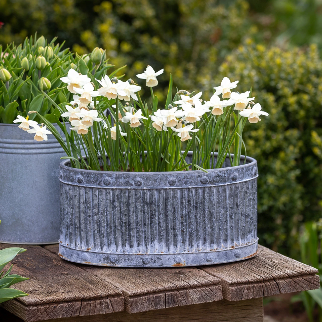 Ribbed Oval Zinc Planters 5 Ribbed Oval Zinc Planters - Image 5