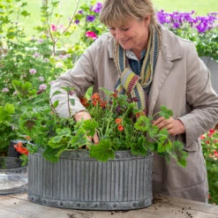 Ribbed Oval Zinc Planters 10 Ribbed Oval Zinc Planters -Plant Supply Store 420213 7 94111.1662035706