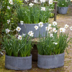 Ribbed Oval Zinc Planters 14 Ribbed Oval Zinc Planters -Plant Supply Store 420213 9 48298.1687877808