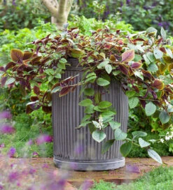 Ribbed Planters -Plant Supply Store 420223 2 64759.1646151246