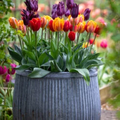 Ribbed Planters -Plant Supply Store 420223 6 16933.1646151246