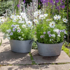 Large Oval Zinc Planter