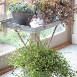 Rustic Zinc Table -Plant Supply Store 420317 3 34977.1659703270