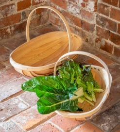 Lightweight Harvest Trug -Plant Supply Store 420369 1 12867.1663676336