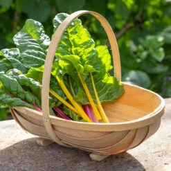 New Release -Plant Supply Store 420369 2 67042.1663676336