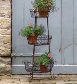 Wire Plant Stand -Plant Supply Store 420370 3 39657.1616166027