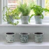 Dutch-style Pots