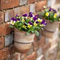 Terracotta Pot With Wall Hanger