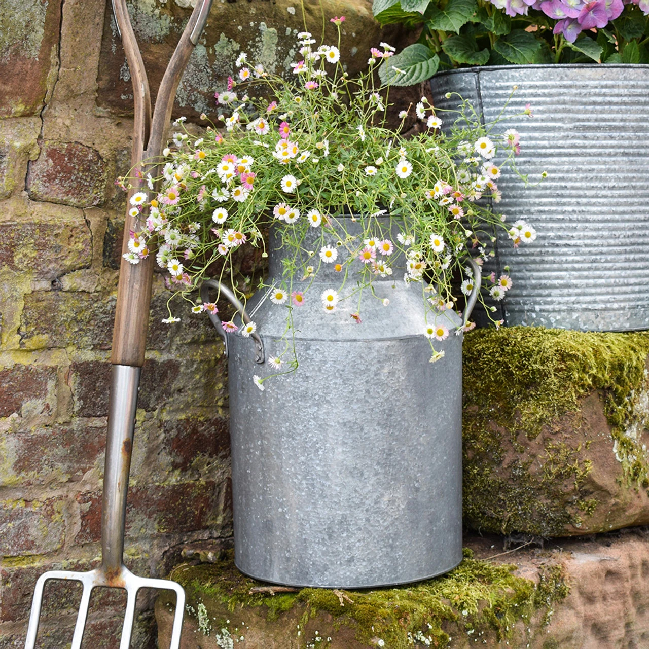 Zinc Milk Churn 2 Zinc Milk Churn - Image 2
