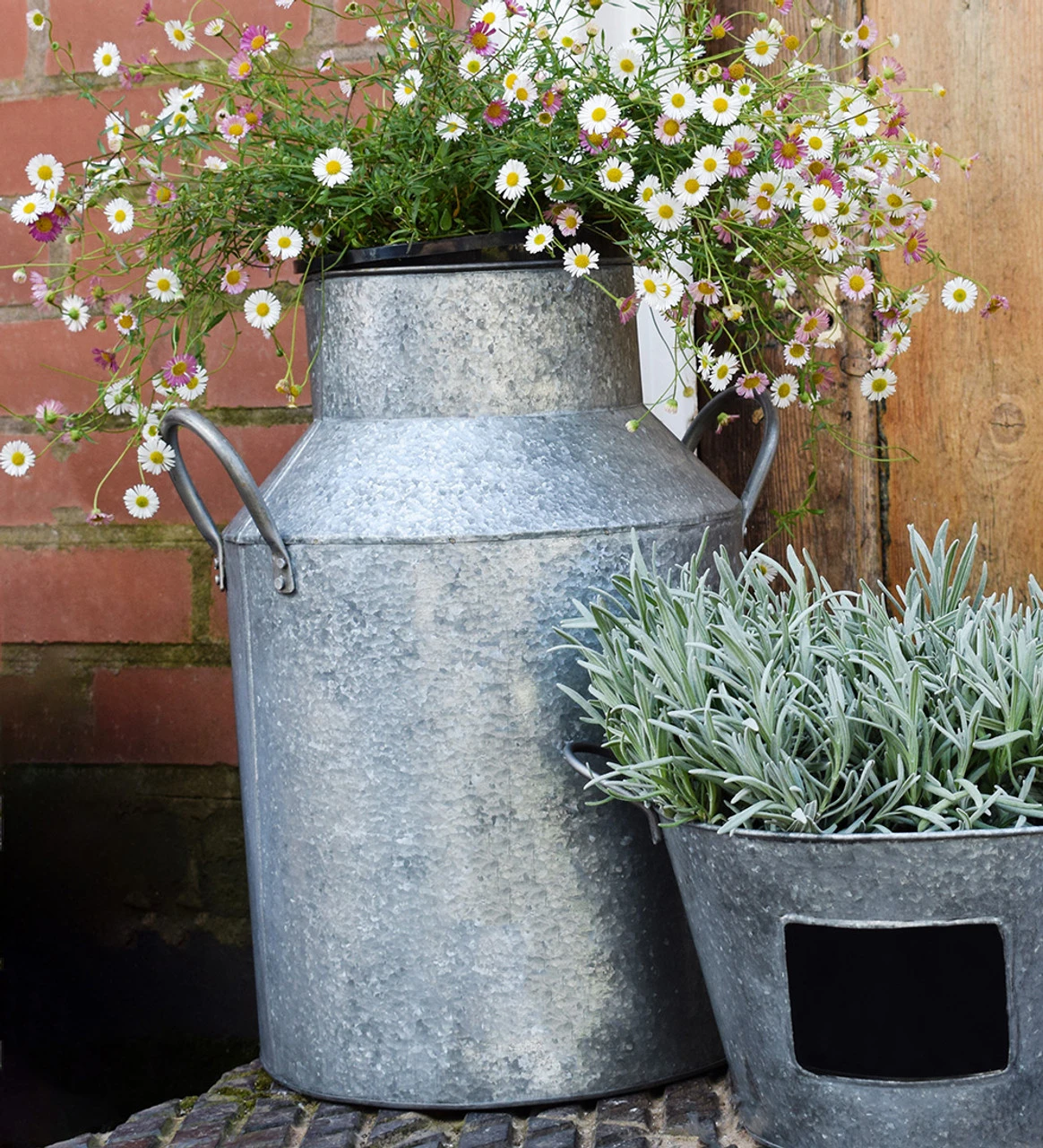 Zinc Milk Churn 3 Zinc Milk Churn - Image 3
