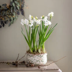 Wavy Edged Green Ceramic Bowls