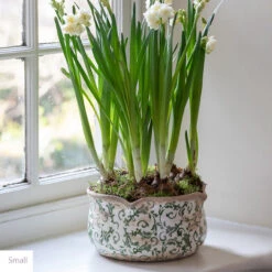 Wavy Edged Green Ceramic Bowls -Plant Supply Store 420413 Label2 13273.1663670634