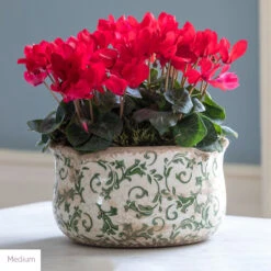 Wavy Edged Green Ceramic Bowls -Plant Supply Store 420413 Label3 95098.1663670634