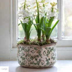 Wavy Edged Green Ceramic Bowls -Plant Supply Store 420413 Label4 06611.1663670634