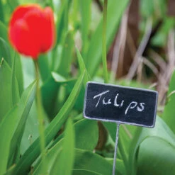 Metal Blackboard Plant Markers