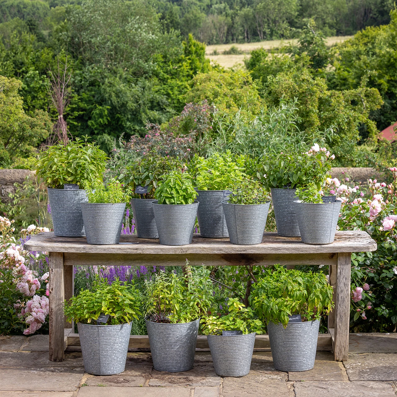 Ribbed Galvanised Planter 1 Ribbed Galvanised Planter